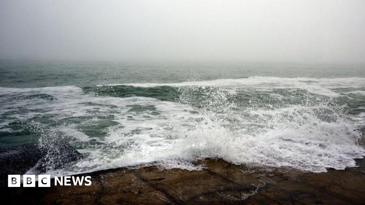 The DeepSeek app from a Chinese AI technology company is displayed on a mobile phone