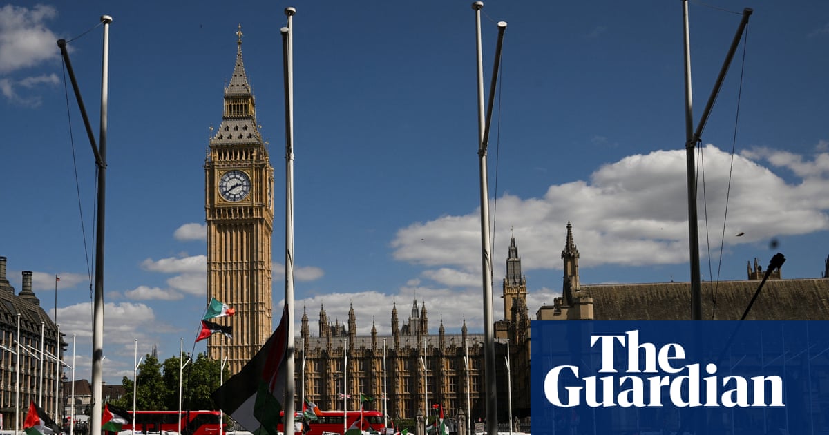 Palestine Action co-founder accuses ministers of making defamatory claims | Protest