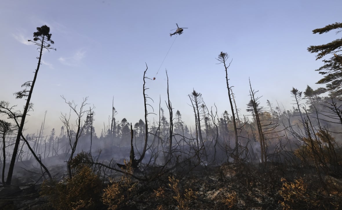 A helicopter drops water on the wildfire. There is burnt forest in the foreground.