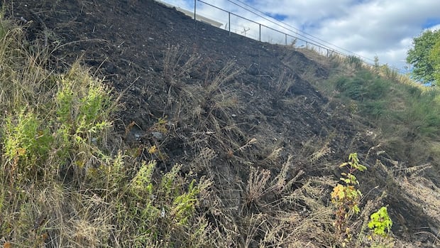 Man charged with arson, fined $150K for allegedly setting brush fires in St. John's