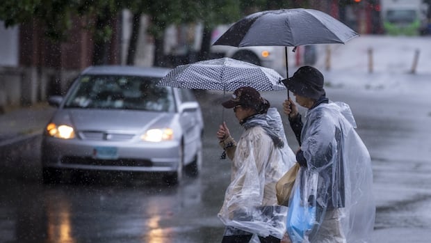 4 B.C. communities, including Vancouver, shatter rainfall records