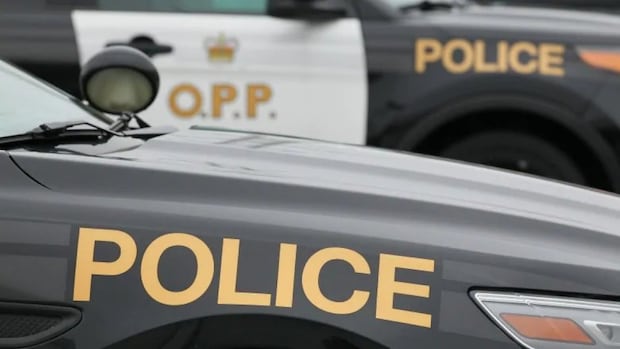 4 dead after early morning crash near Moonbeam, Ont.