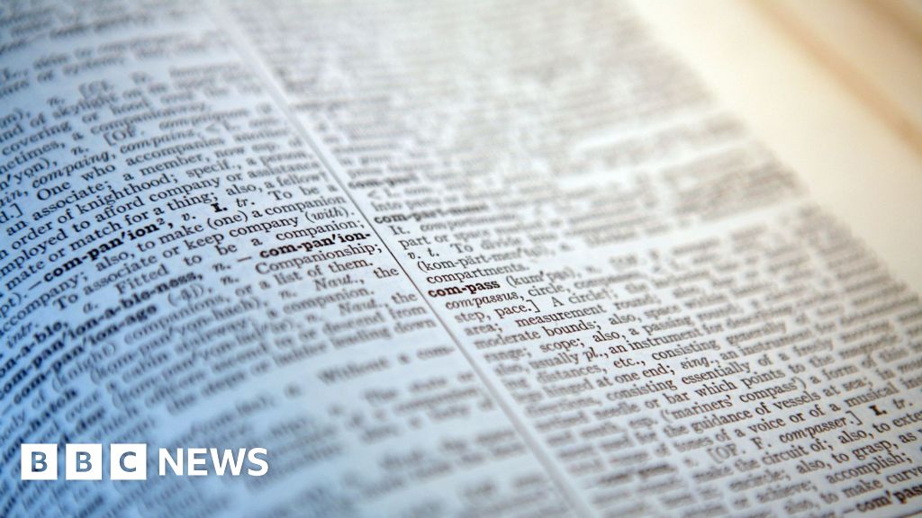 'Skibidi' and 'tradwife' among words added to Cambridge Dictionary