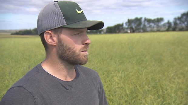 Sask. canola farmers already feeling strain of 'anti-dumping' Chinese tariffs