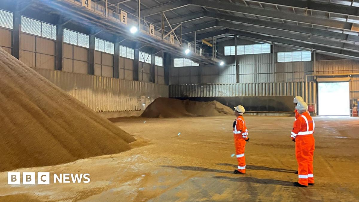 A montage image of Adrian Ramsay and Ellie Chowns, and Zack Polanski