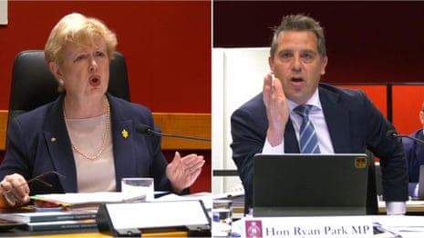 NSW estimates hears patient 'fears that he will die' if he returns to Blacktown hospital – video