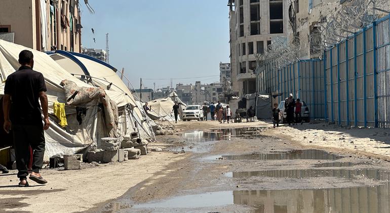 A scene from Gaza City, August 2025. 