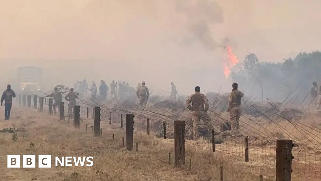 UK agrees to pay Kenyans affected by Lolldaiga fire