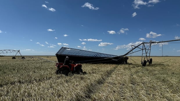 'Basically starting from scratch': Alberta hailstorm wreaks havoc on farmland