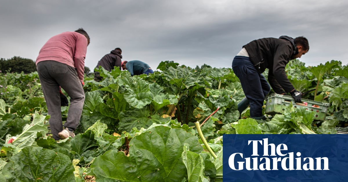 Post-Brexit licences for exporting food to EU cost UK firms up to £65m last year | Business