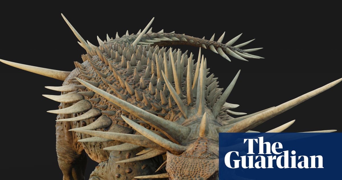 ‘Bristling with spikes’: oldest known ankylosaur fossil found in Morocco | Dinosaurs