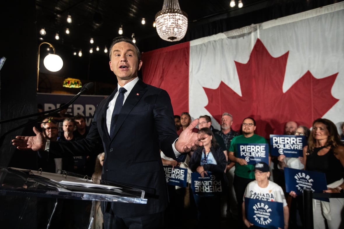 A man in a suit in front of a large Canadian flag. 
