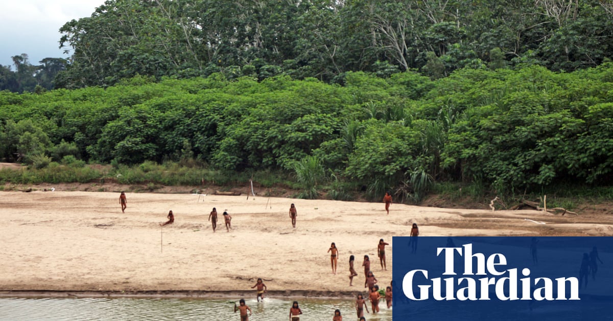 Uncontacted Peruvian tribe on deadly collision course with loggers, group says | Peru