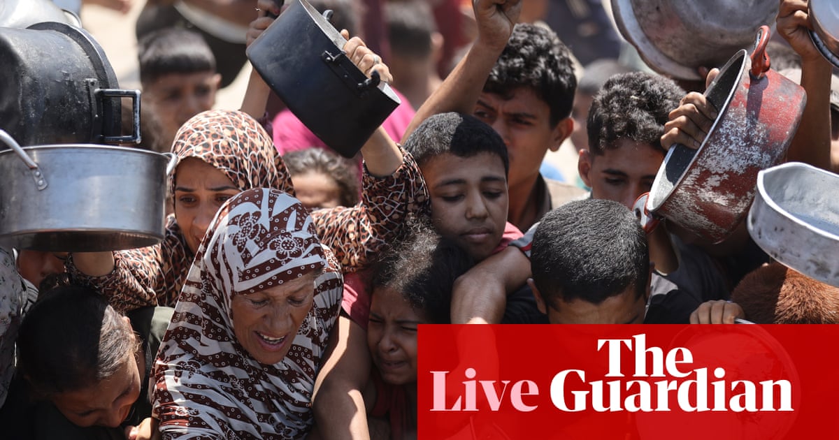 Gaza starvation is real and it is happening now, UN World Food Programme says – Middle East crisis live | World news