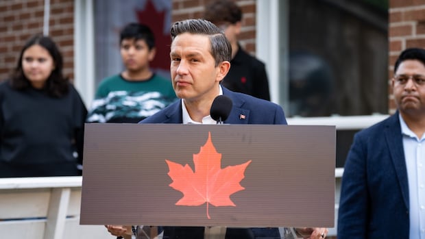 Poilievre's idea to amend Criminal Code wouldn't help Canadians acting in self-defence, law experts say