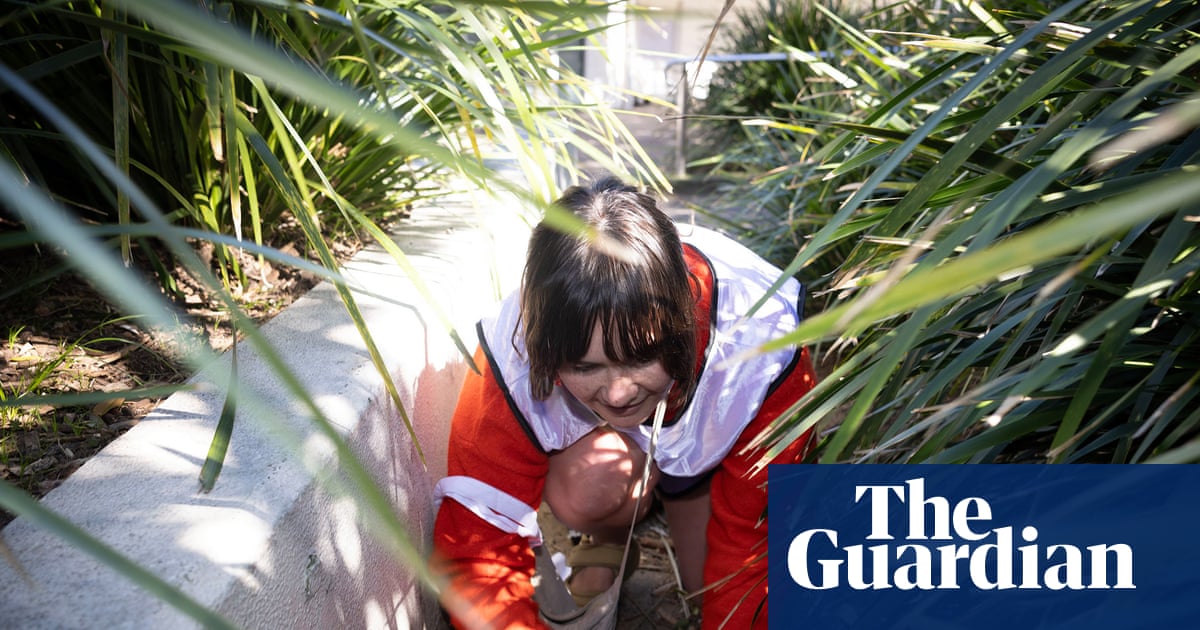 ‘It’s only going to get bigger’: Australia embraces the Japanese game that turns rubbish into sport | Sport