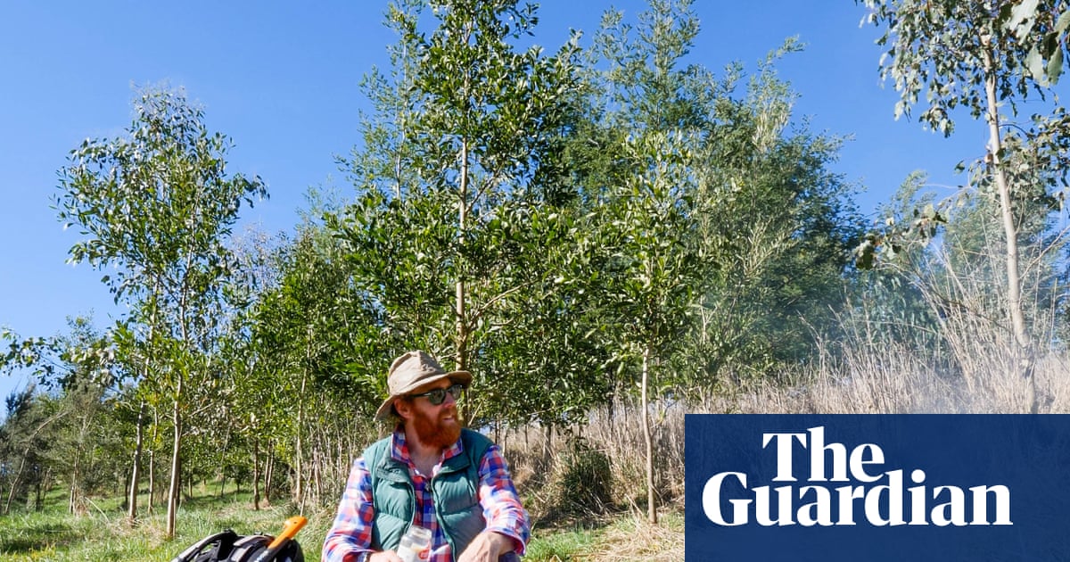 A tree a minute for 24 hours: the young Victorian forest that was planted in a day | Victoria