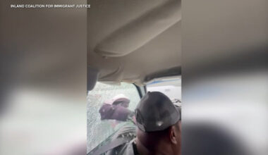 Can ICE pull you over? Legal expert explains your rights during traffic stop