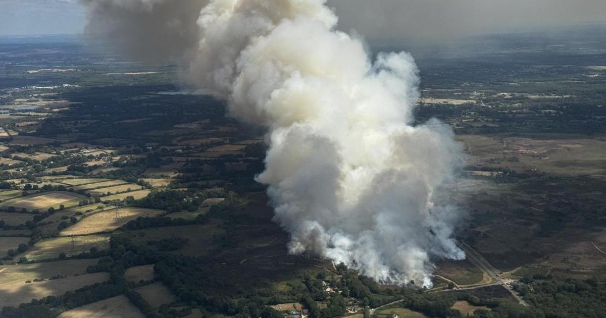Holt Heath major fire: What we know so far