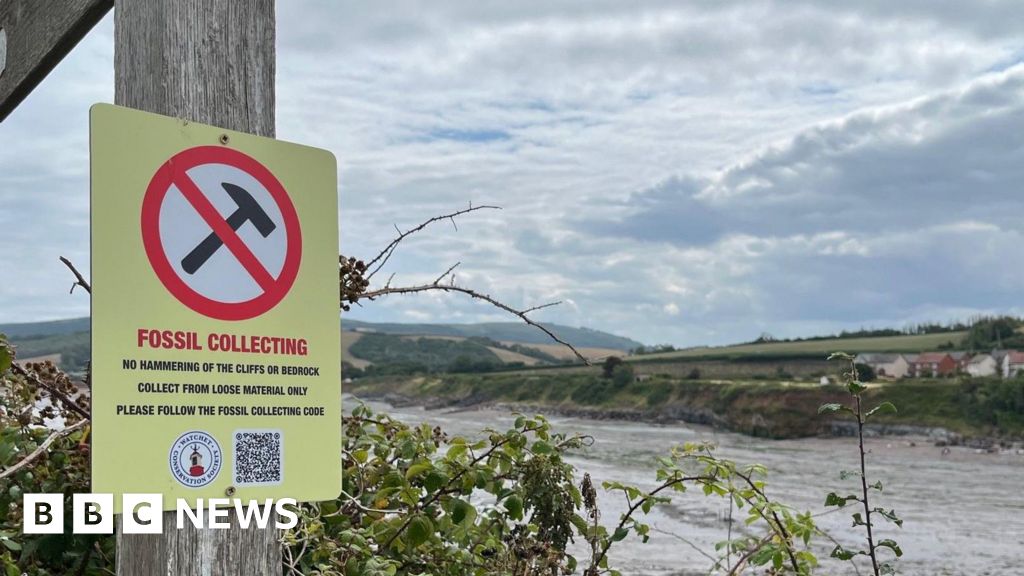 Do not use power tools to take fossils, Somerset town asks