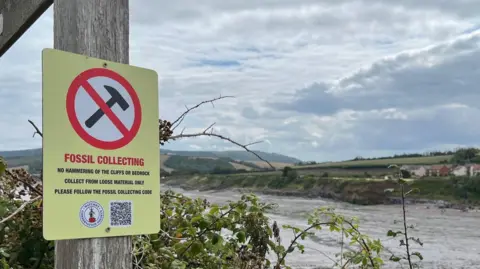 Supplied A yellow sign hangs on a finger post, with a cross through a hammer, saying 'Fossil collecting. No hammering of the cliffs or bedrock. Collect from loose natural material only. Please follow the fossil collecting code'. In the background is a beach, and fields.