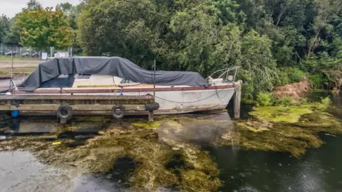 Lough Neagh Sailing Club An old boat parked on a lake, with weeds piled up on top of the water. There are trees behind the boat. 