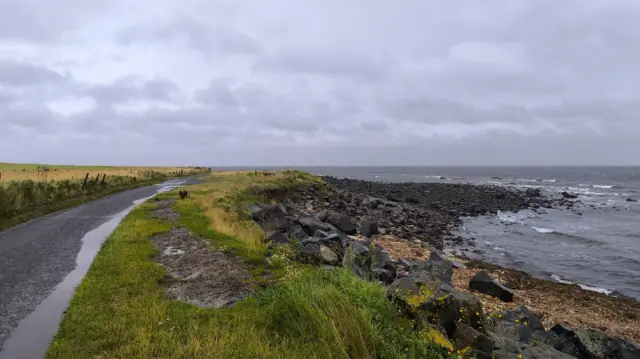 A road by the coast and with grass and rocks leading to the water. Grey sky above.