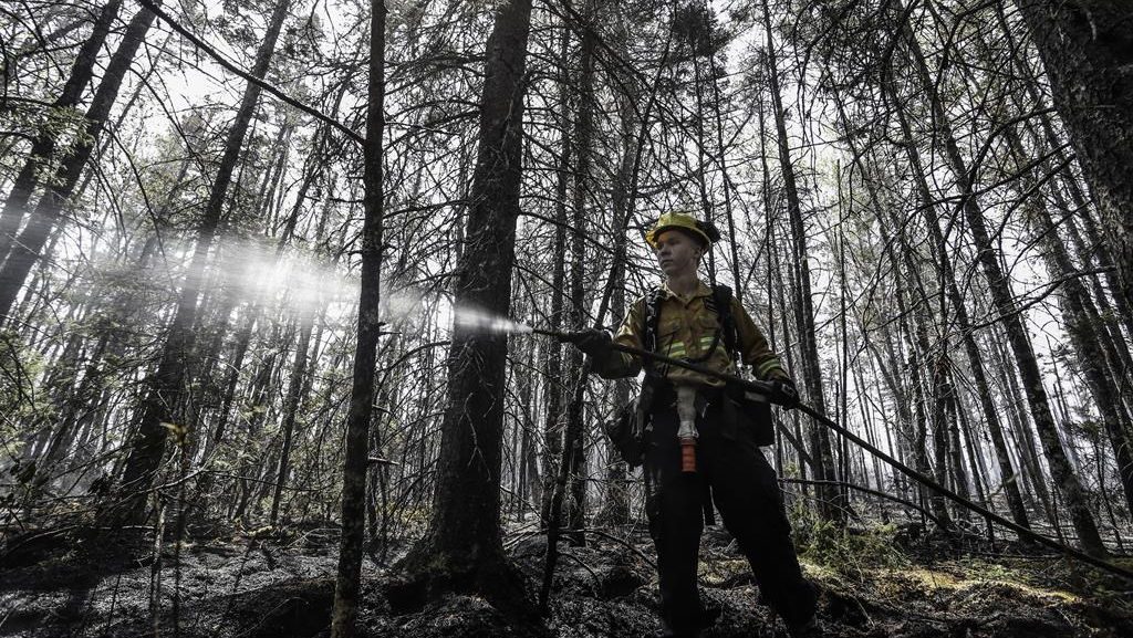 Any activities in Nova Scotia forests banned by province