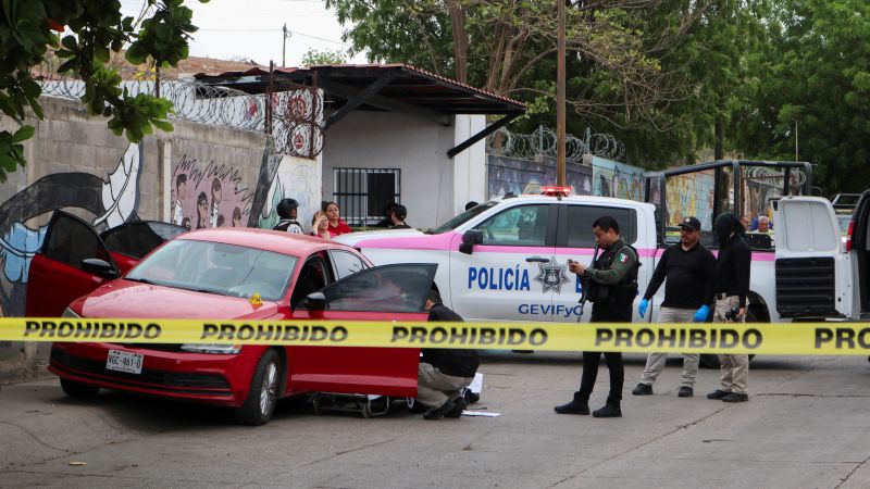 A cartel war bleeding Sinaloa dry: homicides rise 400% in the year after the fall of ‘El Mayo’