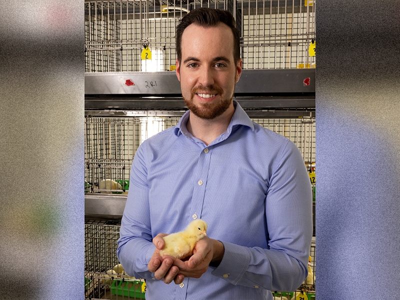 Ben Parsons, an assistant professor of poultry nutrition with the Arkansas Agricultural Experiment Station, recently published a study with poultry science Ph.D. student Rebekah Drysdale that can help poultry producers optimize calcium digestibility.