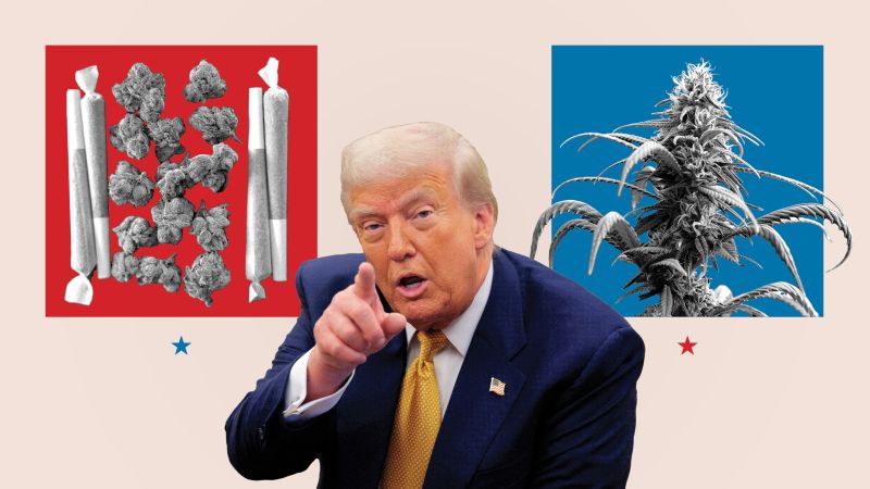 Trump is privately mulling how to declare pot a less dangerous drug