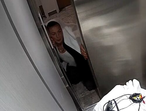 The first suspect is described as an approximately 30-year-old man with brown shaved hair, and a right forearm tattoo sleeve.