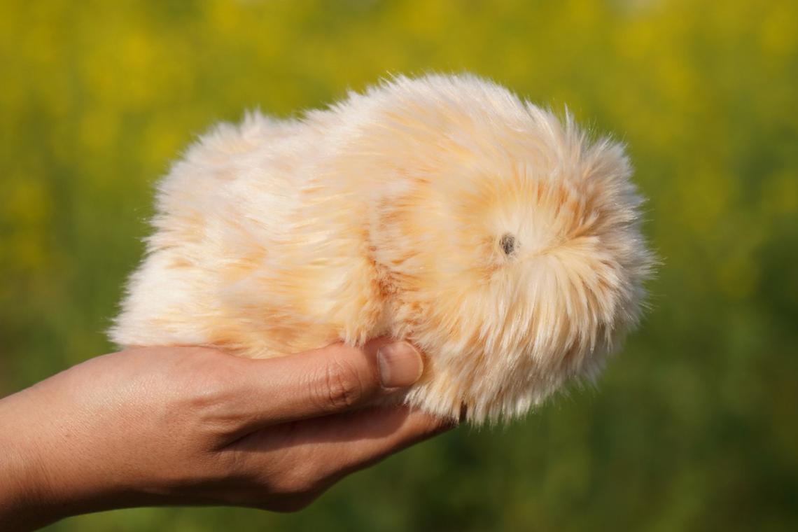 Moflin by Casio Computer Co demonstrates over 4 million distinctive personality traits.