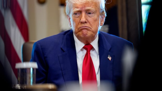 Trump's popularity has taken a hit. These Americans say it's because of the tariffs