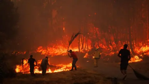 EPA/Shutterstock A large forest engulfed in thick orange flames with  one firefighter in the background and four men with wicker brooms trying to bat out the flames