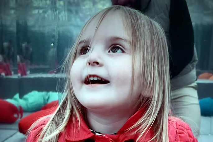 SunLive - Toddler dies in crash; man faces driving charges