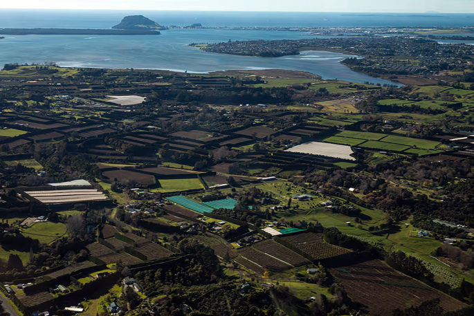 SunLive - Who’s running in WBOP local elections