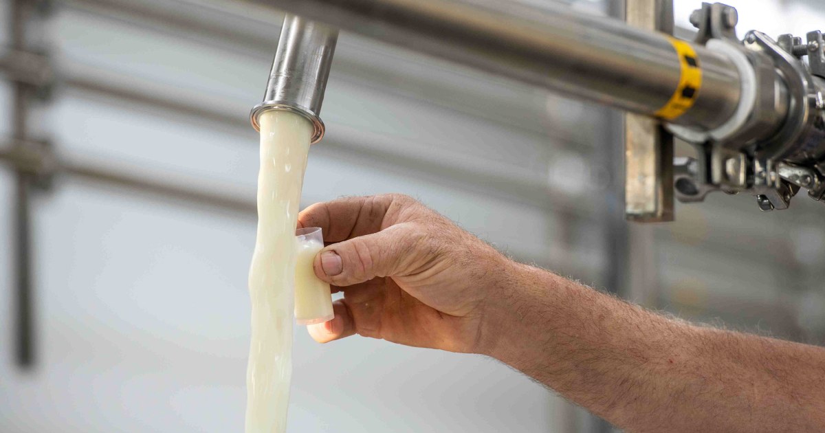 Florida officials warn about risks of drinking raw milk after 21 infections