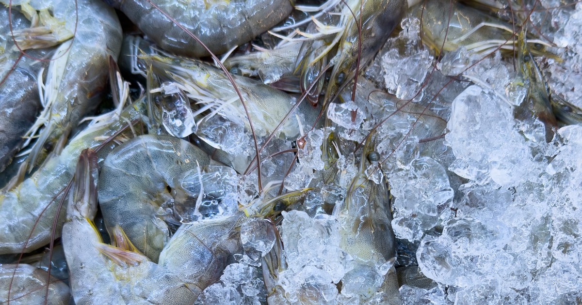 More frozen shrimp recalled after possible radioactive contamination, FDA says