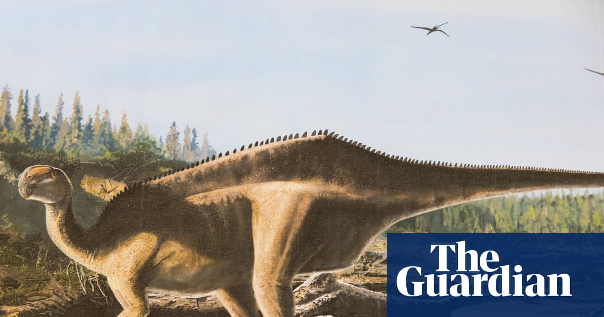 New species of dinosaur with ‘eye-catching sail’ discovered on Isle of Wight | Dinosaurs