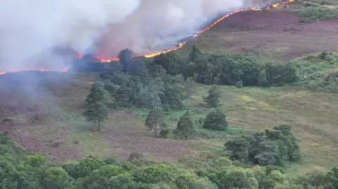 John Parsons Orange and red flames in the trees and white smoke flowing up into the sky can be seen for several miles.