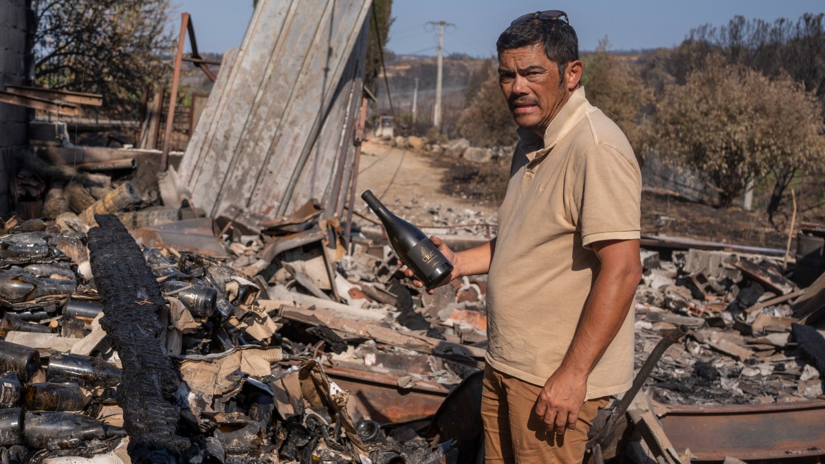 our wine will taste of smoke, says family who lost it all