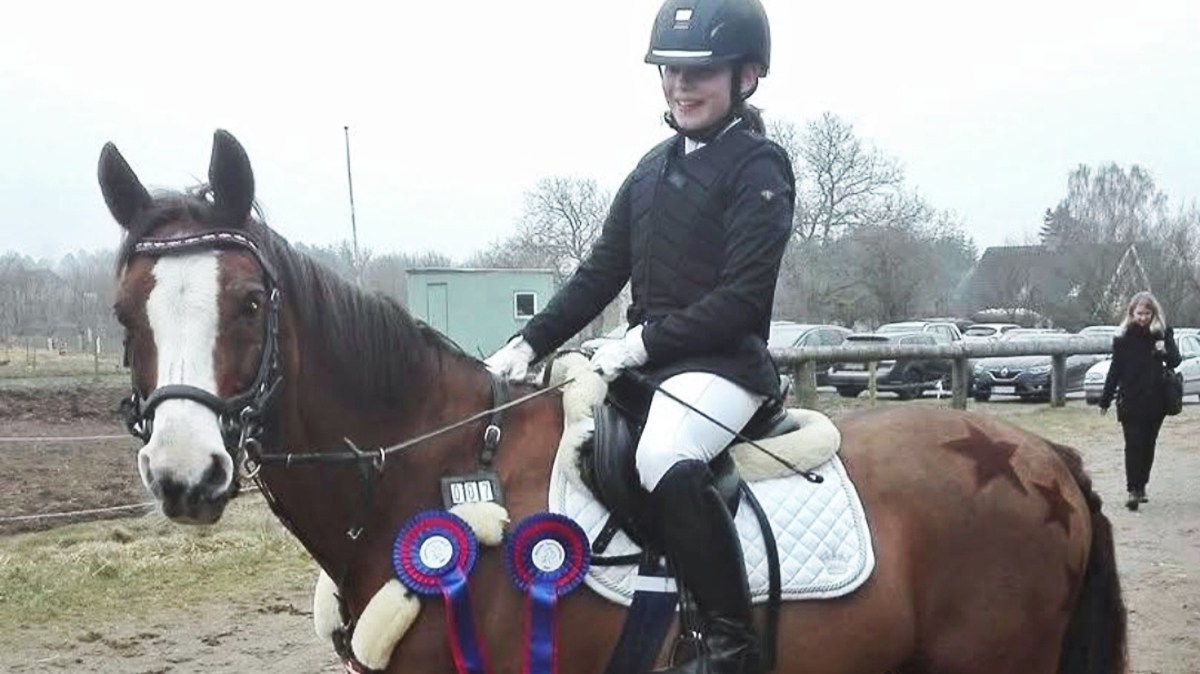 I gave the zoo my daughter’s beloved pony to be fed to the lions