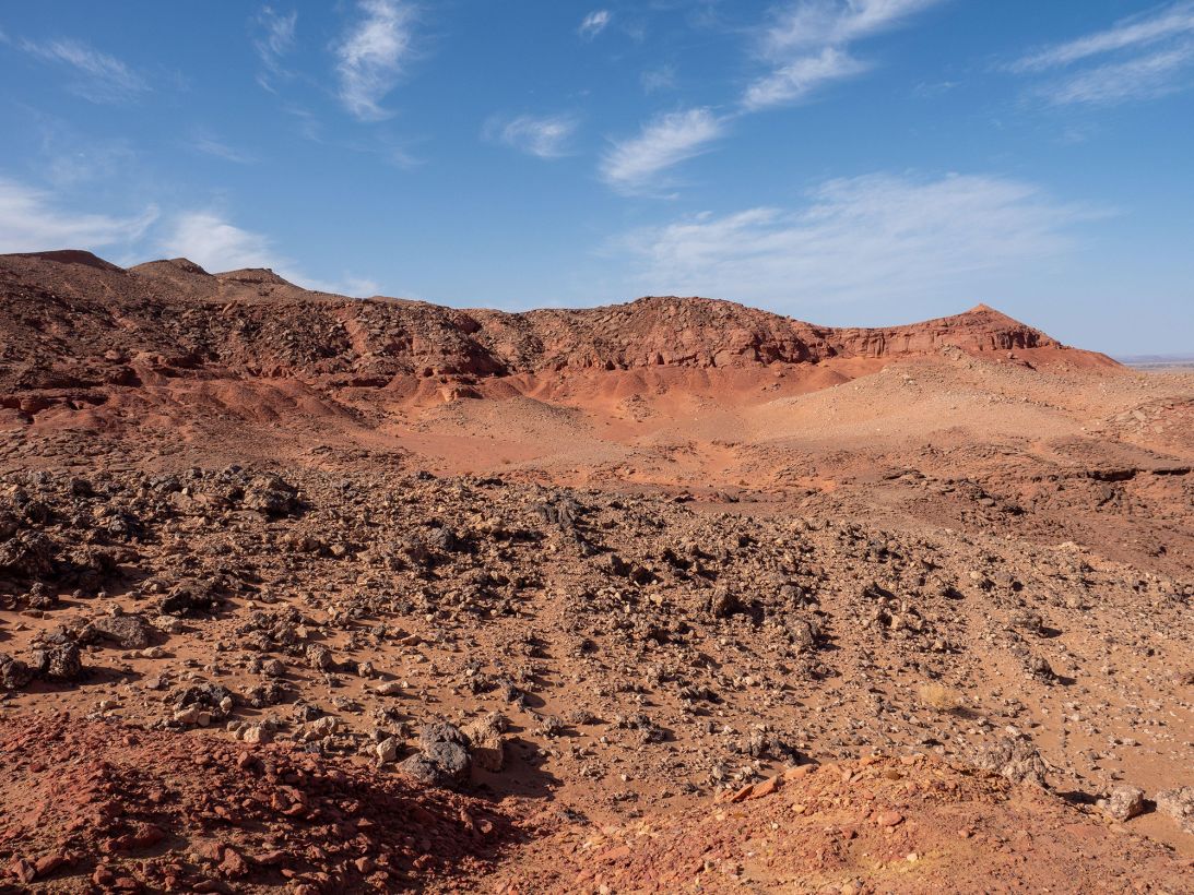 Nearly all Spinosaurus fossils have been found in Morocco's Kem Kem region.