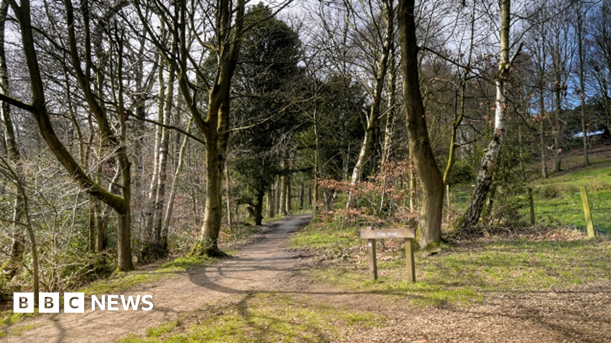 A general view of Witton Country Park, showing an avenue of trees around a walkway, with a wooden sign to the right.