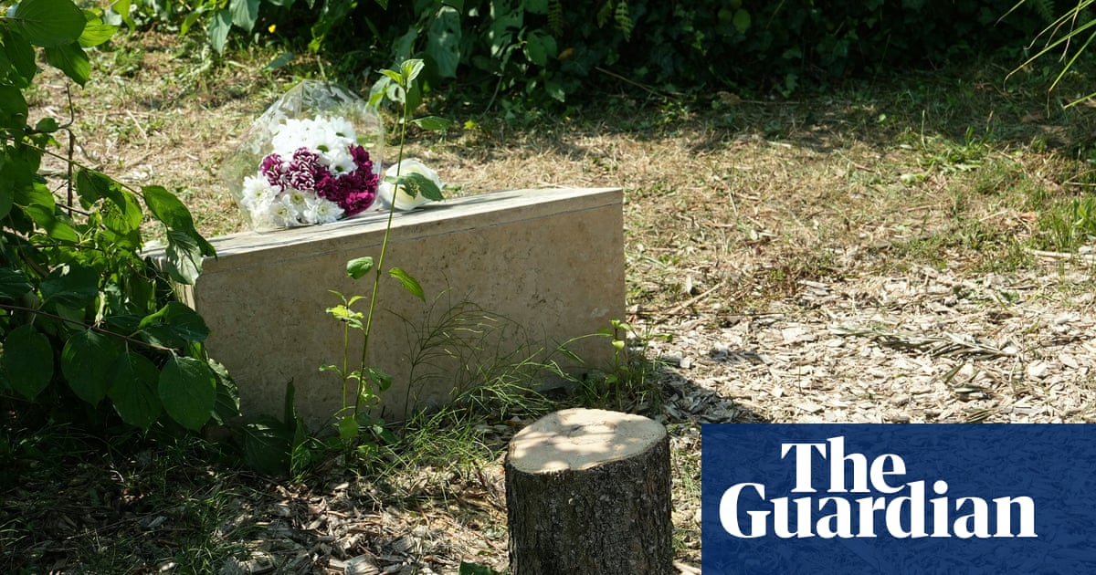 Emmanuel Macron decries ‘antisemitic hatred’ after memorial tree cut down | France
