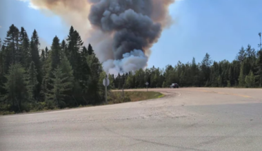 ‘Very dangerous situation’: Miramichi-area wildfire grows to 160 hectares - CTV News