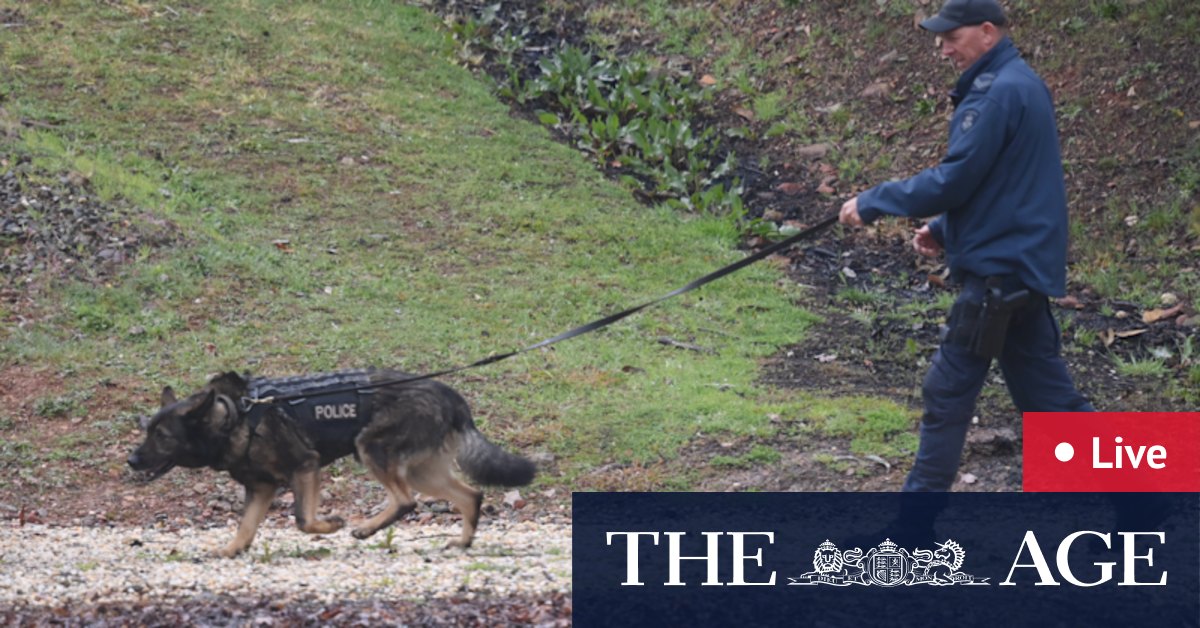 Search for Dezi Freeman enters fourth day as rain, terrain hampers manhunt in High Country