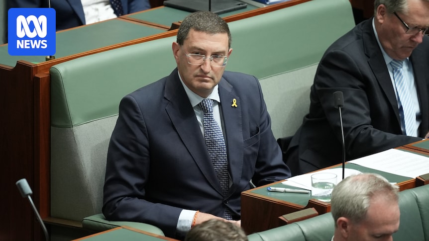 Leeser maintains Albanese government bears some responsibility for Iranian antisemitic attacks