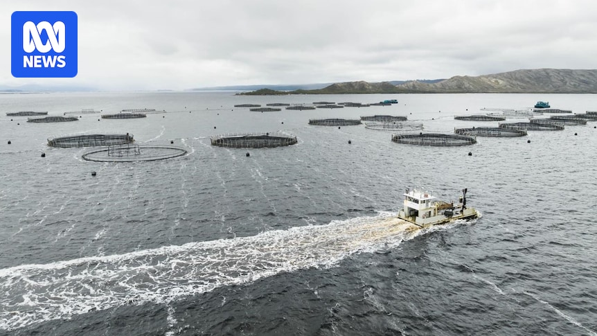Commonwealth reaffirms decision to allow salmon farming expansion in Tasmania's Macquarie Harbour